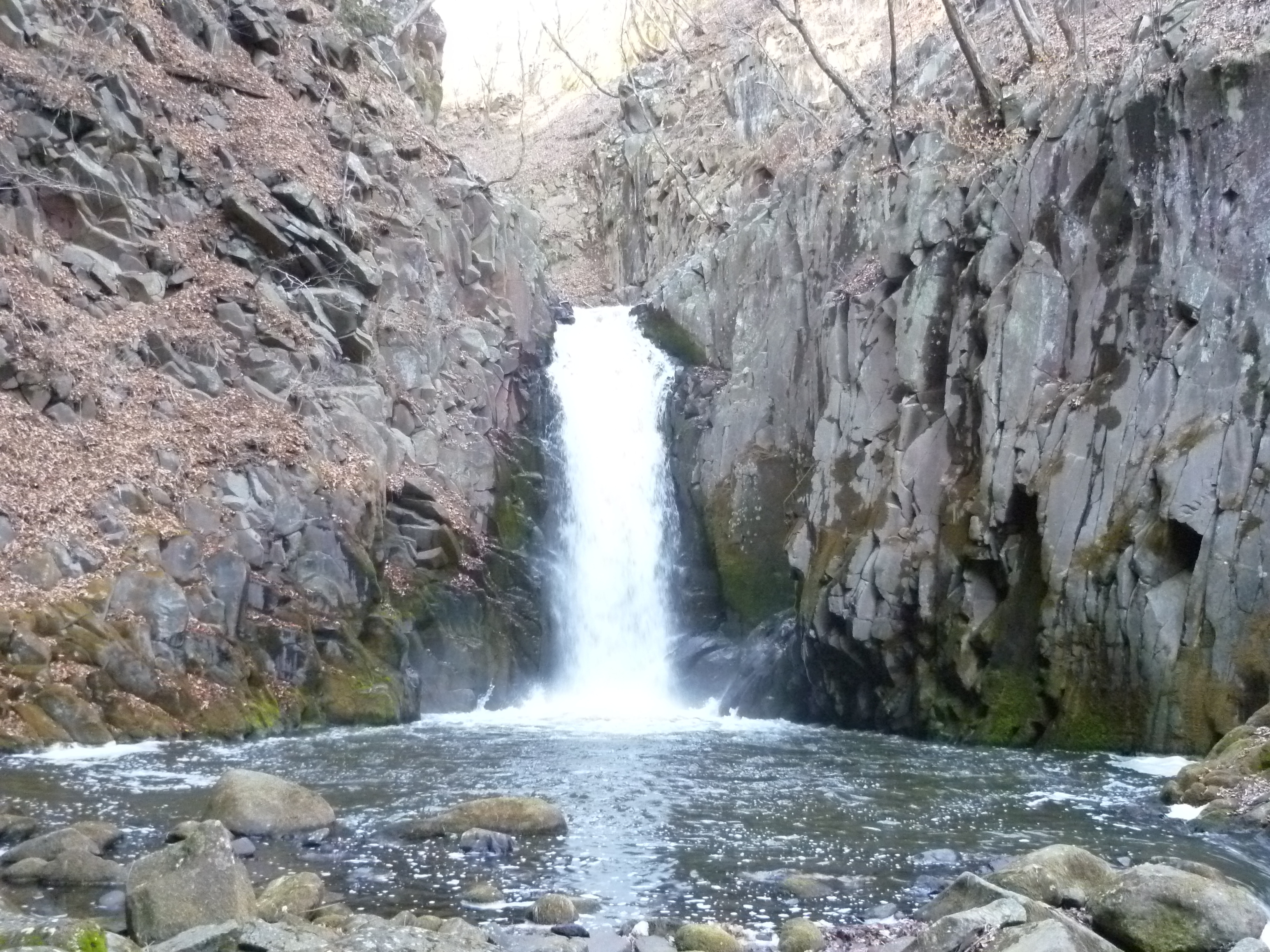 P1080050.JPG