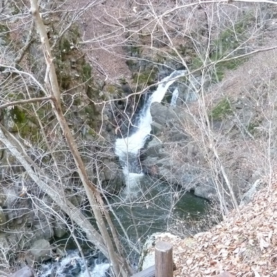 P1080056.JPG