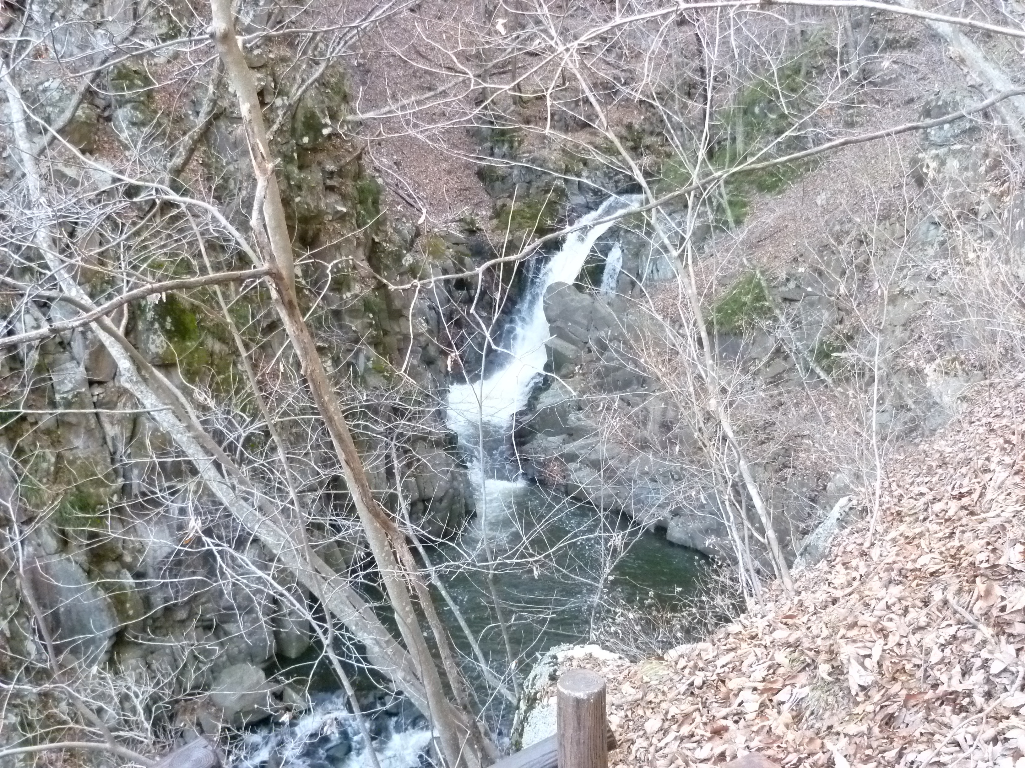 P1080056.JPG