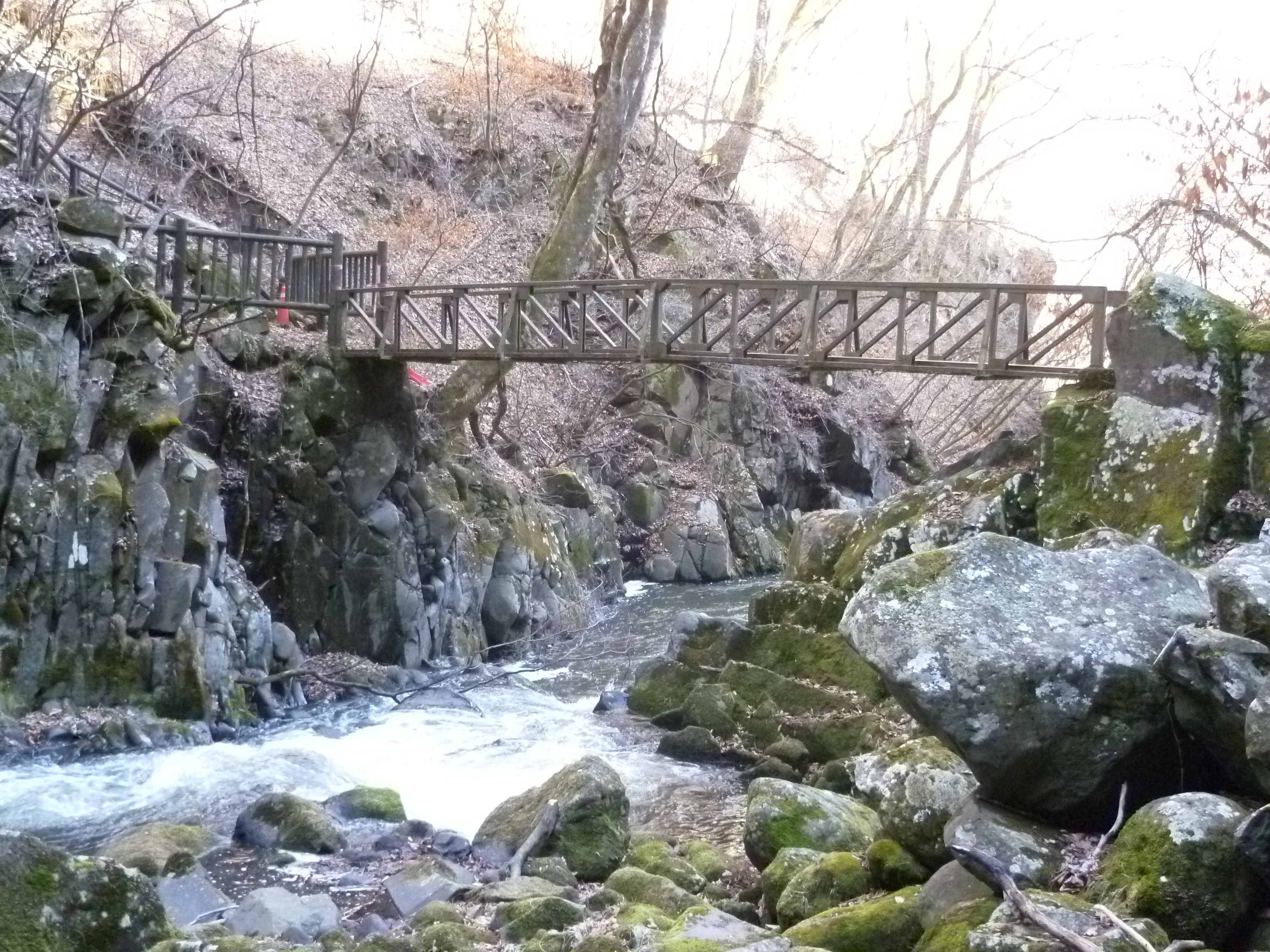 P1080051.JPG