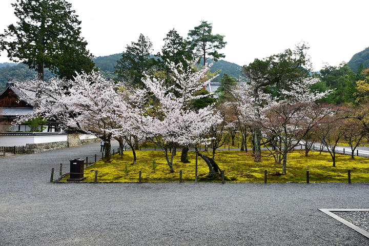 DSC_0871.jpg