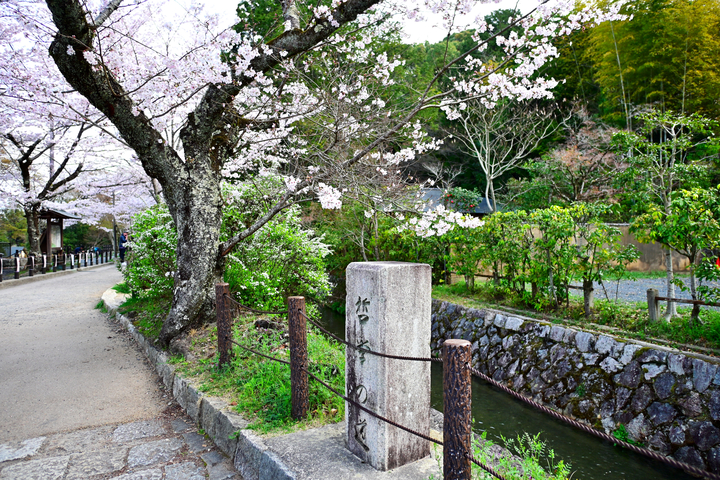 DSC_0895.jpg