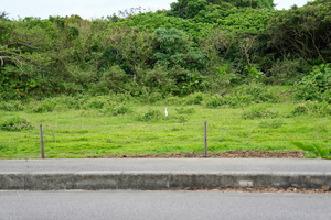 IMG_3259.jpeg