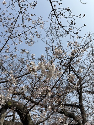 IMG_0900.jpeg