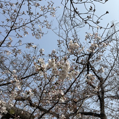 IMG_0900.jpeg
