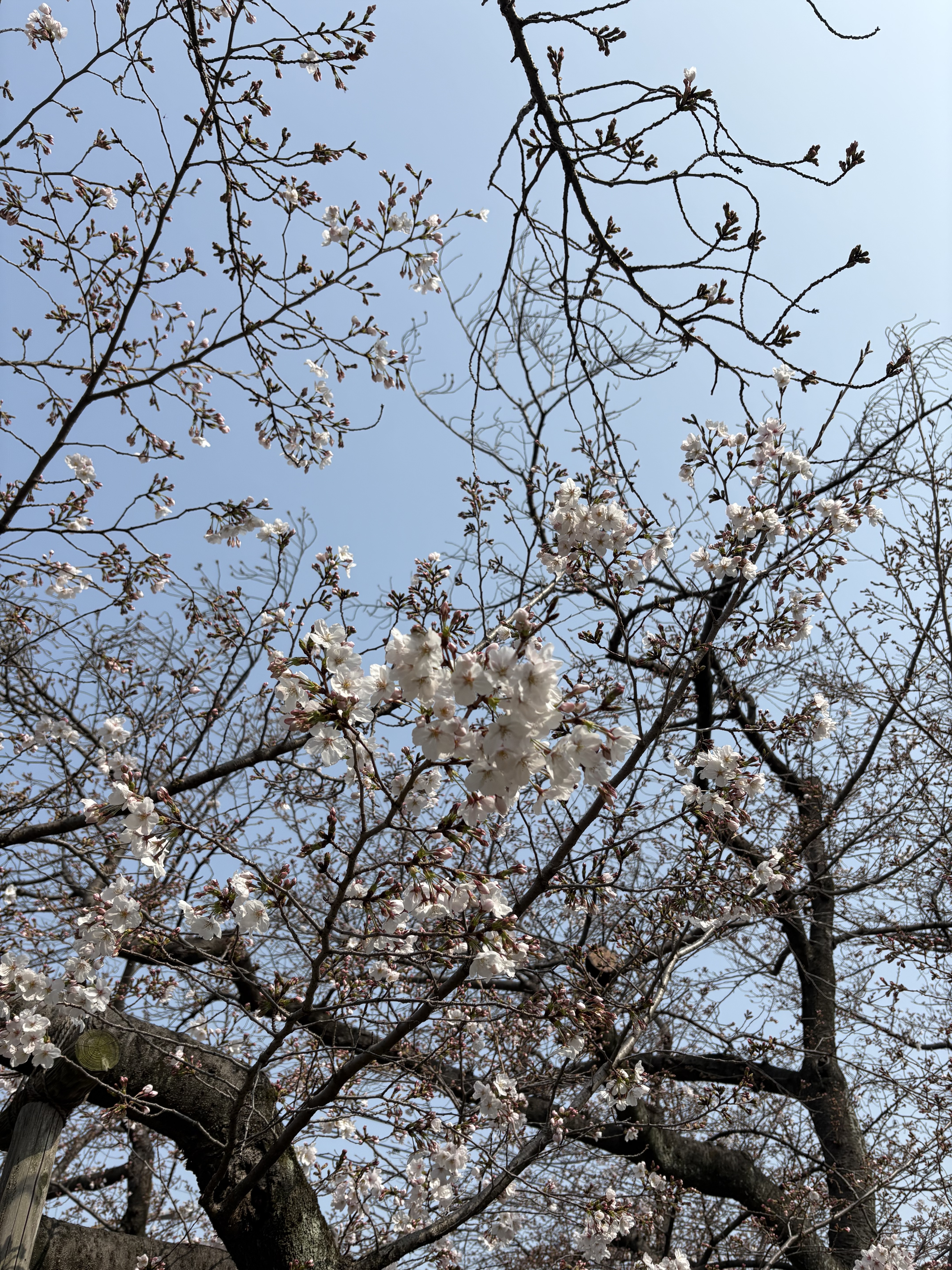 IMG_0900.jpeg
