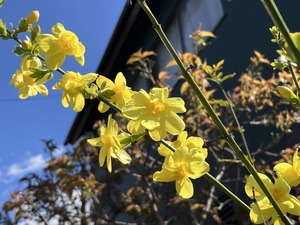 IMG_6999.jpeg