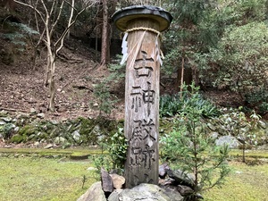 IMG_4010.jpeg