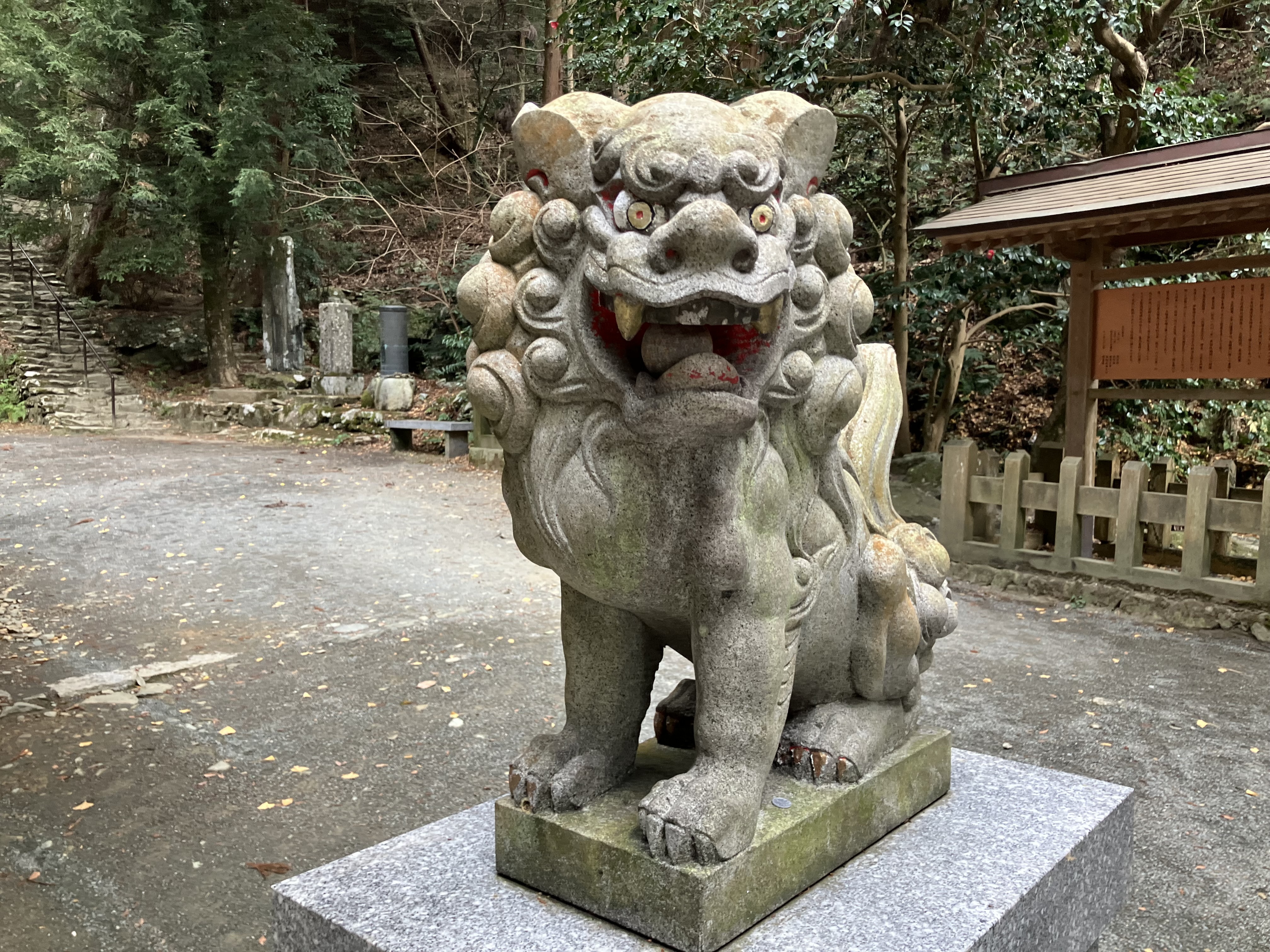 IMG_4006.jpeg