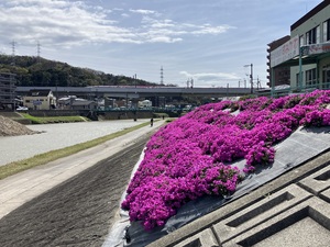 IMG_7161.jpeg