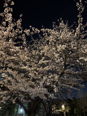 IMG_5794.jpeg