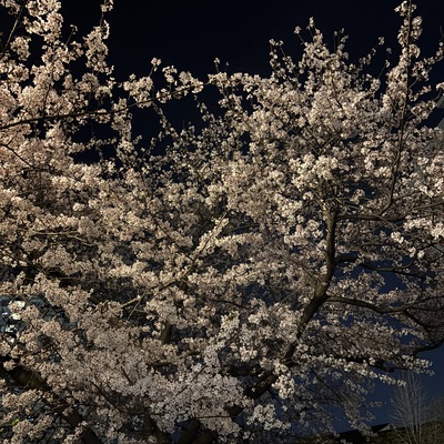 IMG_5794.jpeg