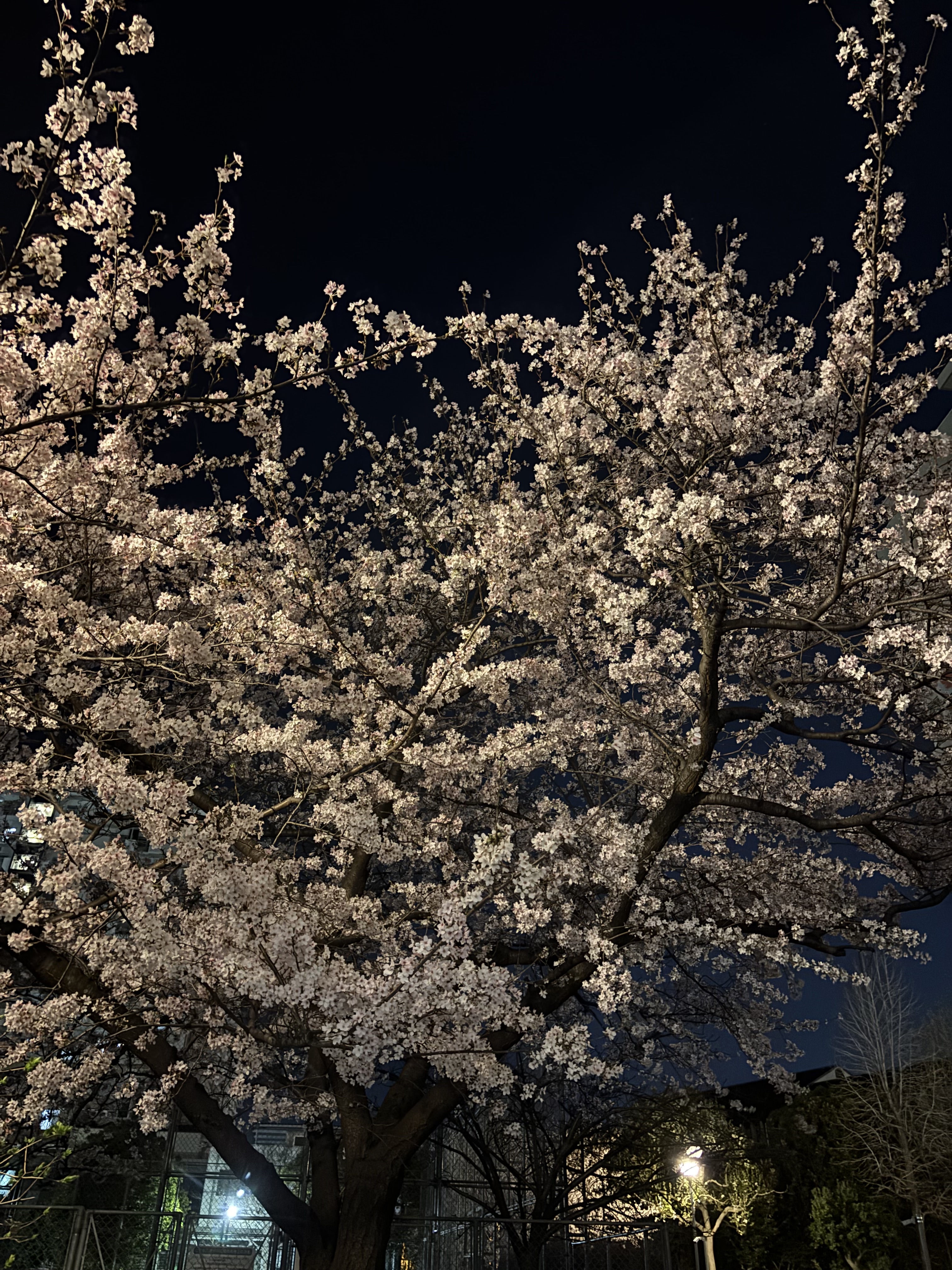 IMG_5794.jpeg