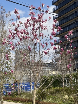 IMG_3793.jpeg