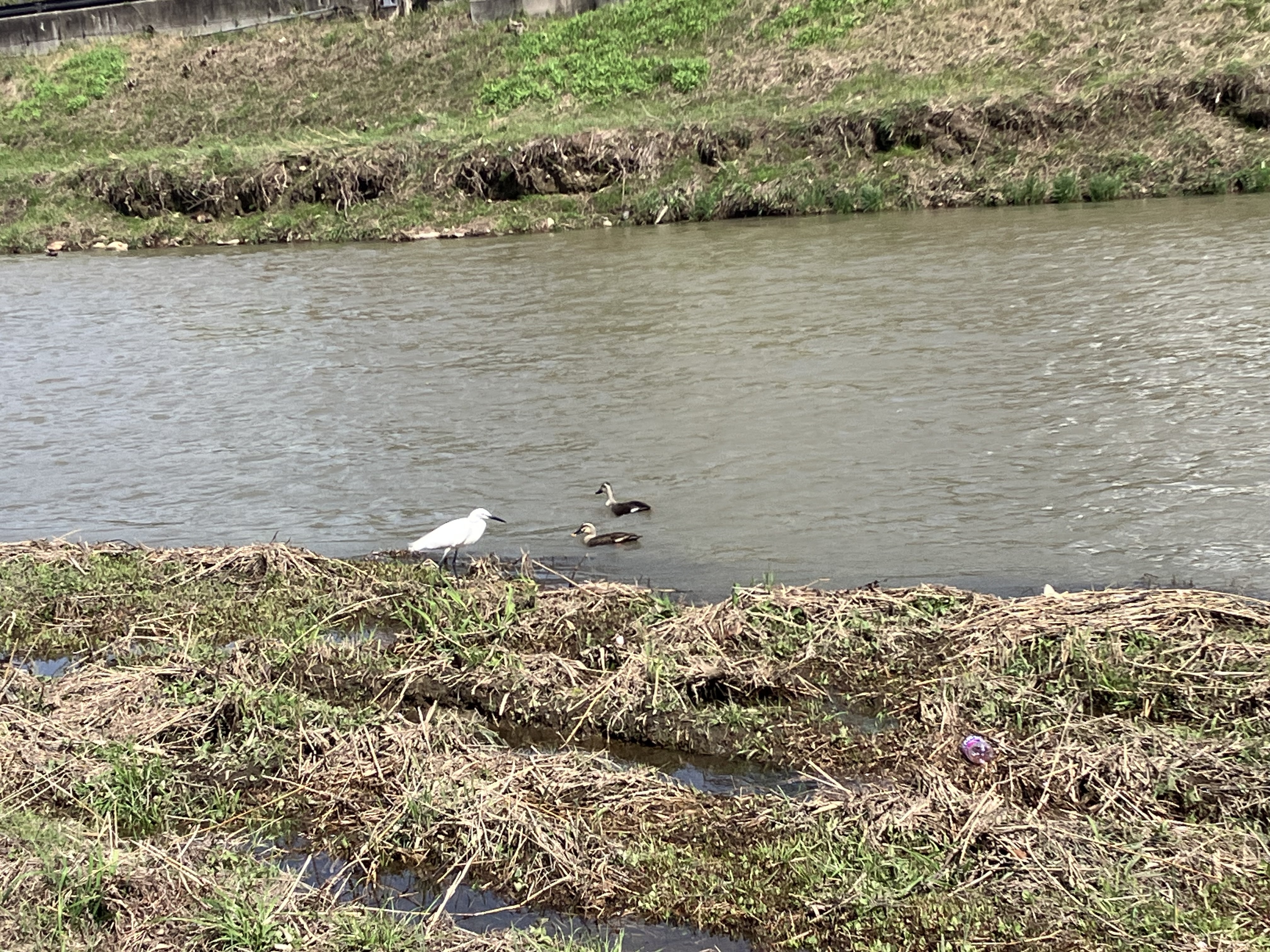 IMG_7164.jpeg