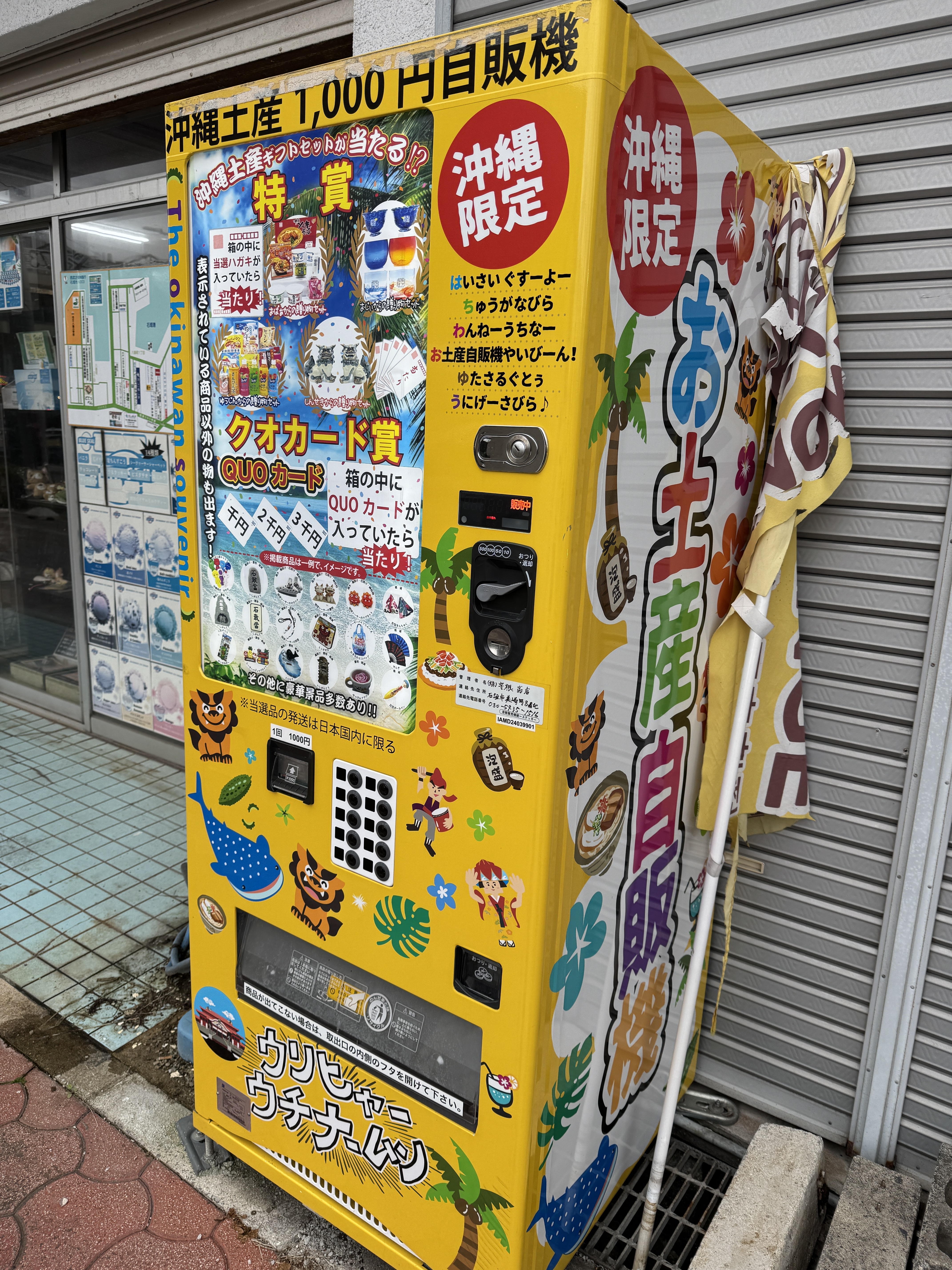IMG_3014.jpeg