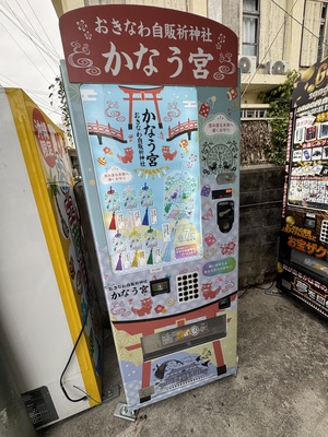 IMG_3022.jpeg