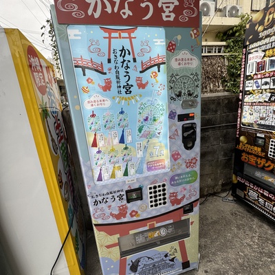 IMG_3022.jpeg