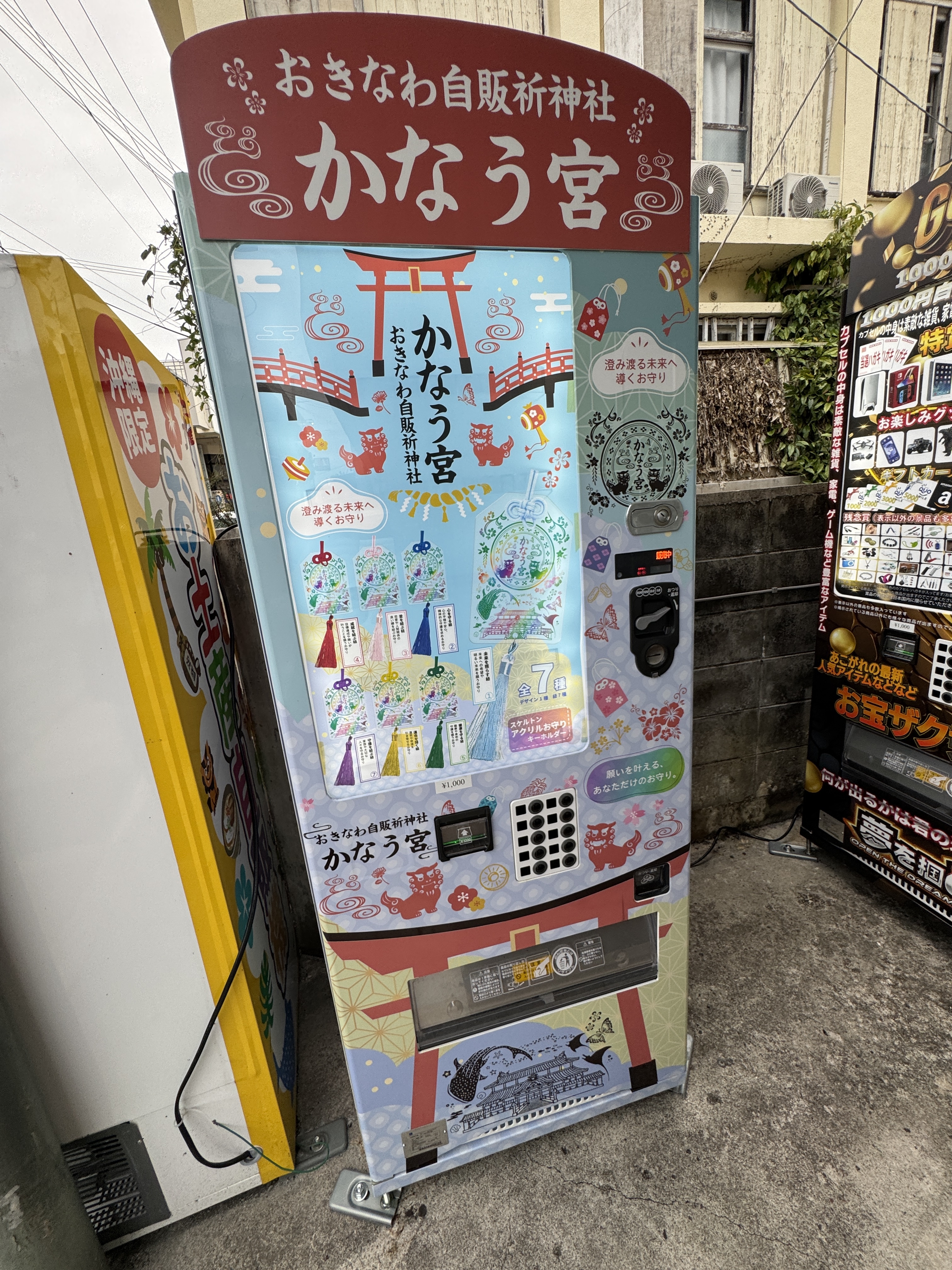 IMG_3022.jpeg