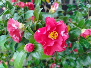 IMG_20260401_091800.jpg