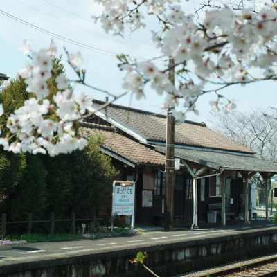 SDIM0700.JPG