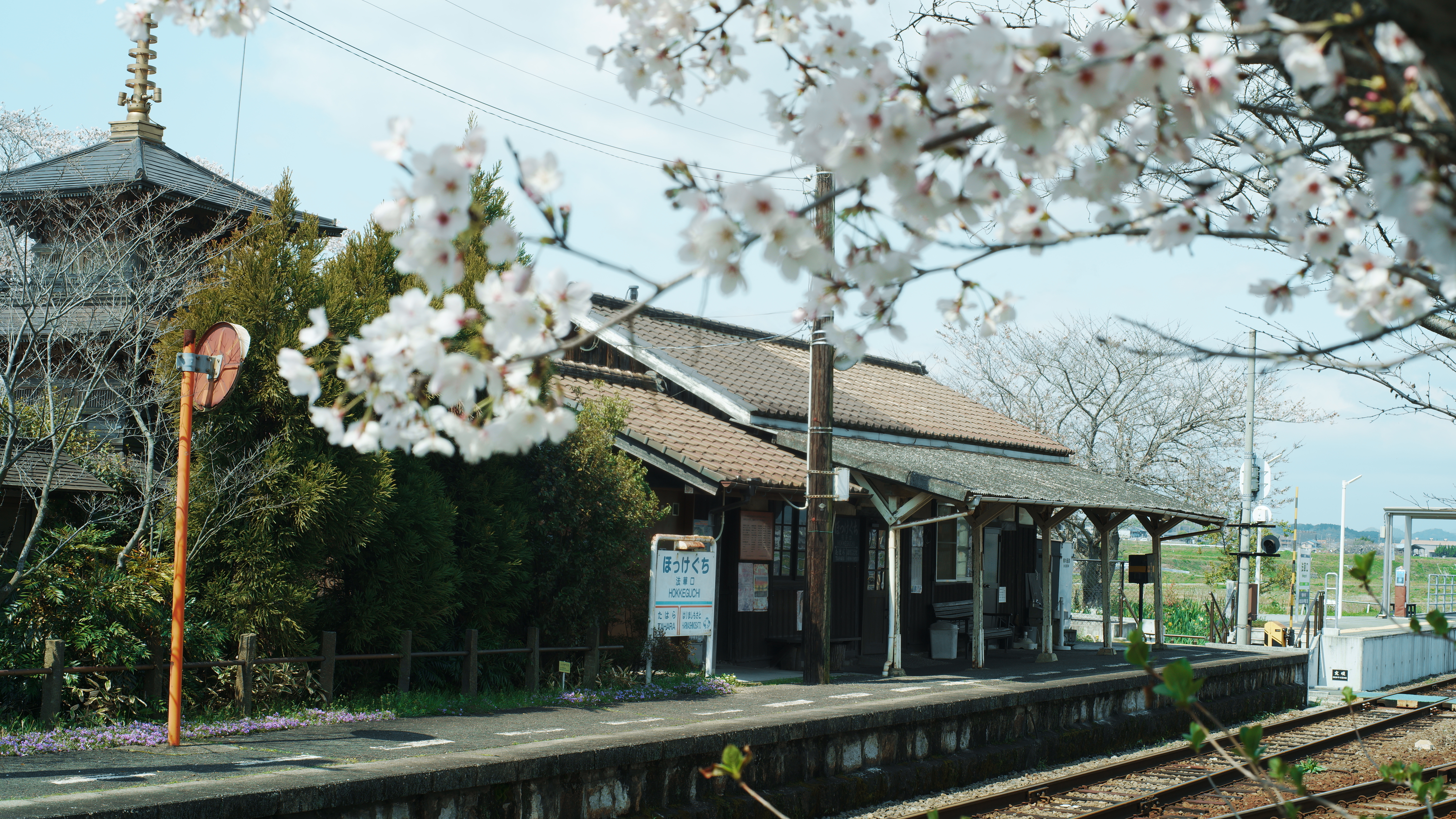 SDIM0700.JPG