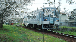SDIM0710.JPG
