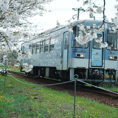 SDIM0710.JPG