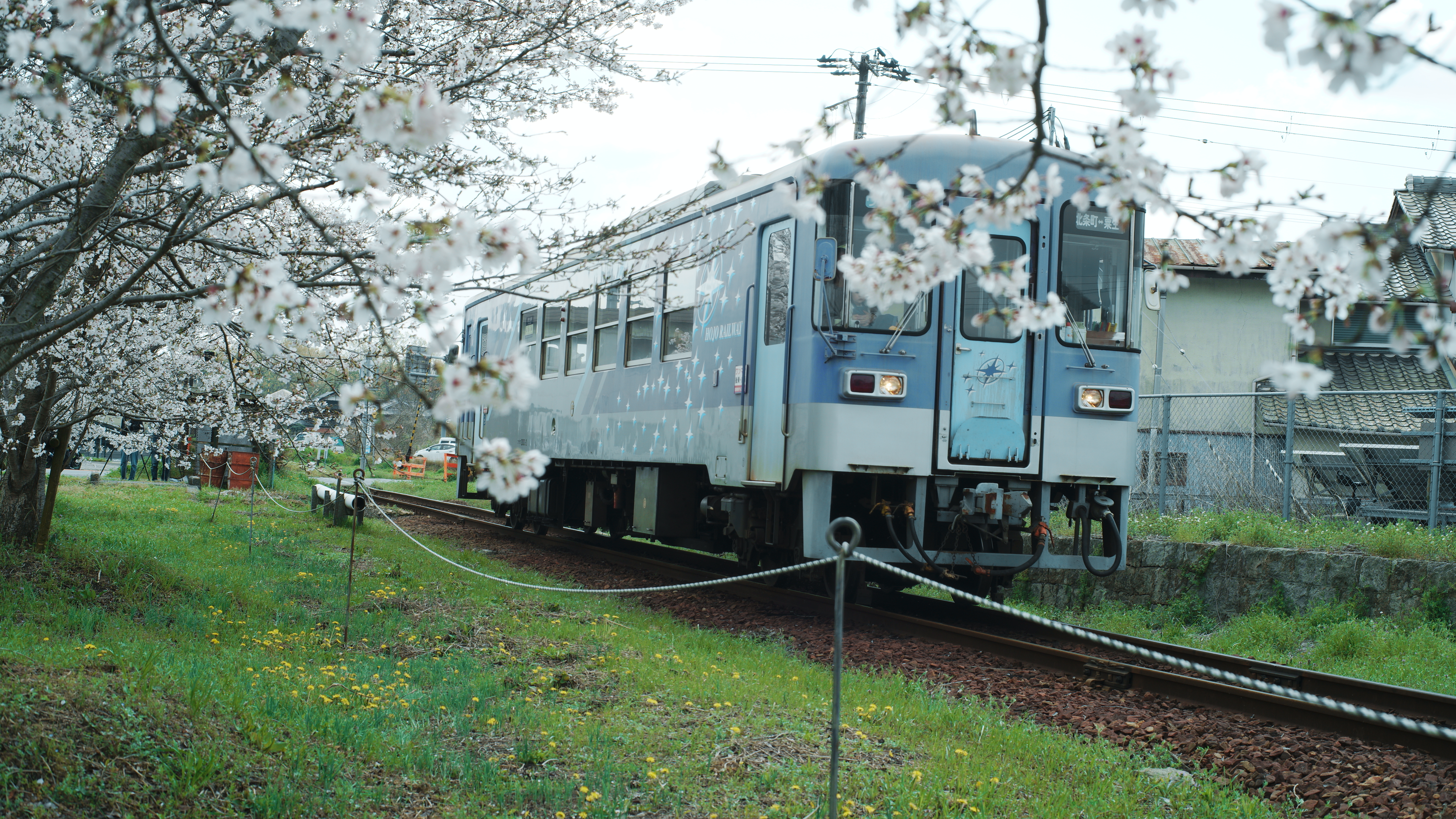 SDIM0710.JPG