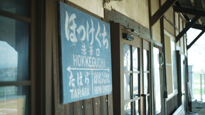 SDIM0705.JPG