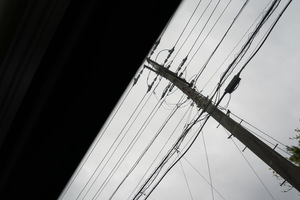 IMG_3290.jpeg