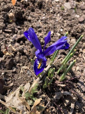 IMG_4994.jpeg