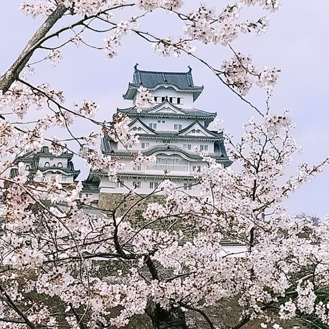 姫路城１.jpg