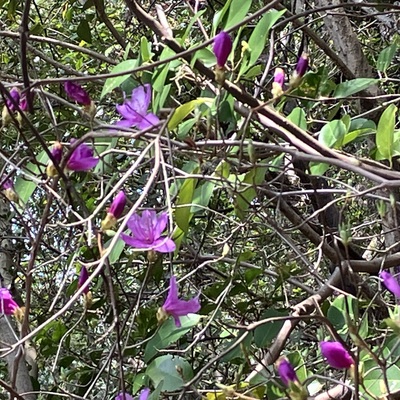 IMG_7135.jpeg