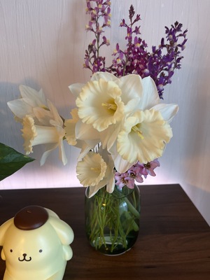 IMG_BE9A0173-9667-41BF-84F8-AD106D529350.jpeg