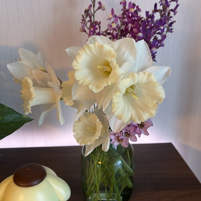 IMG_BE9A0173-9667-41BF-84F8-AD106D529350.jpeg