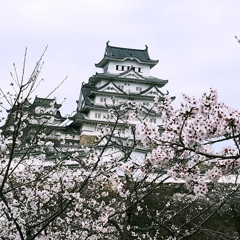 姫路城追加1.jpg