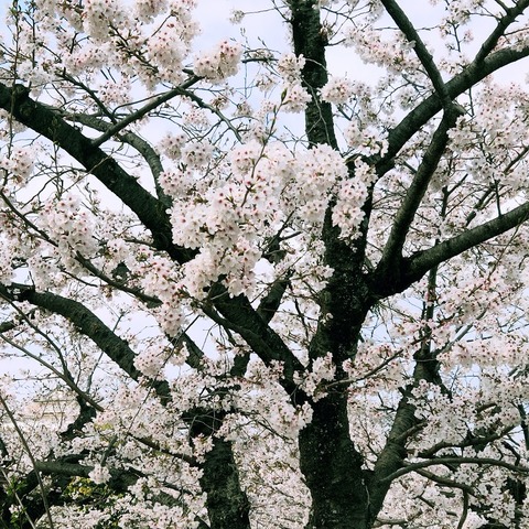 姫路城追加２.jpg