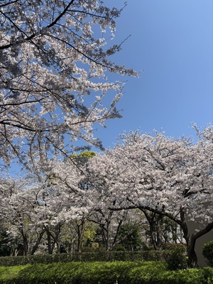 IMG_5874.jpeg