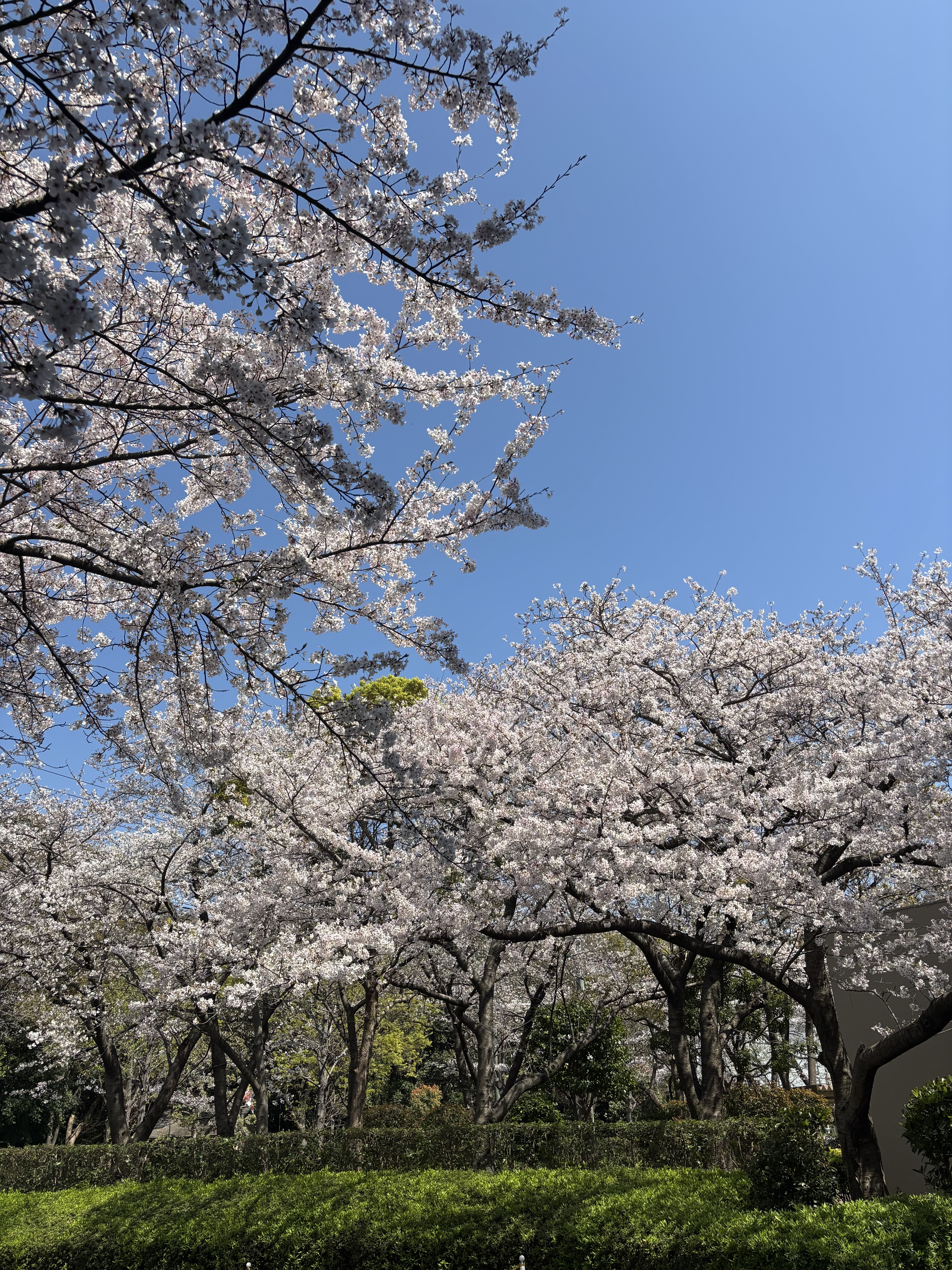 IMG_5874.jpeg