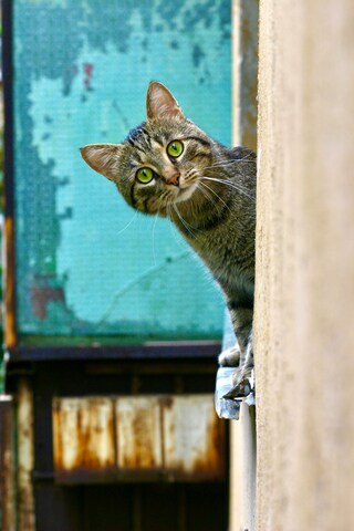 IMG_5347.jpeg