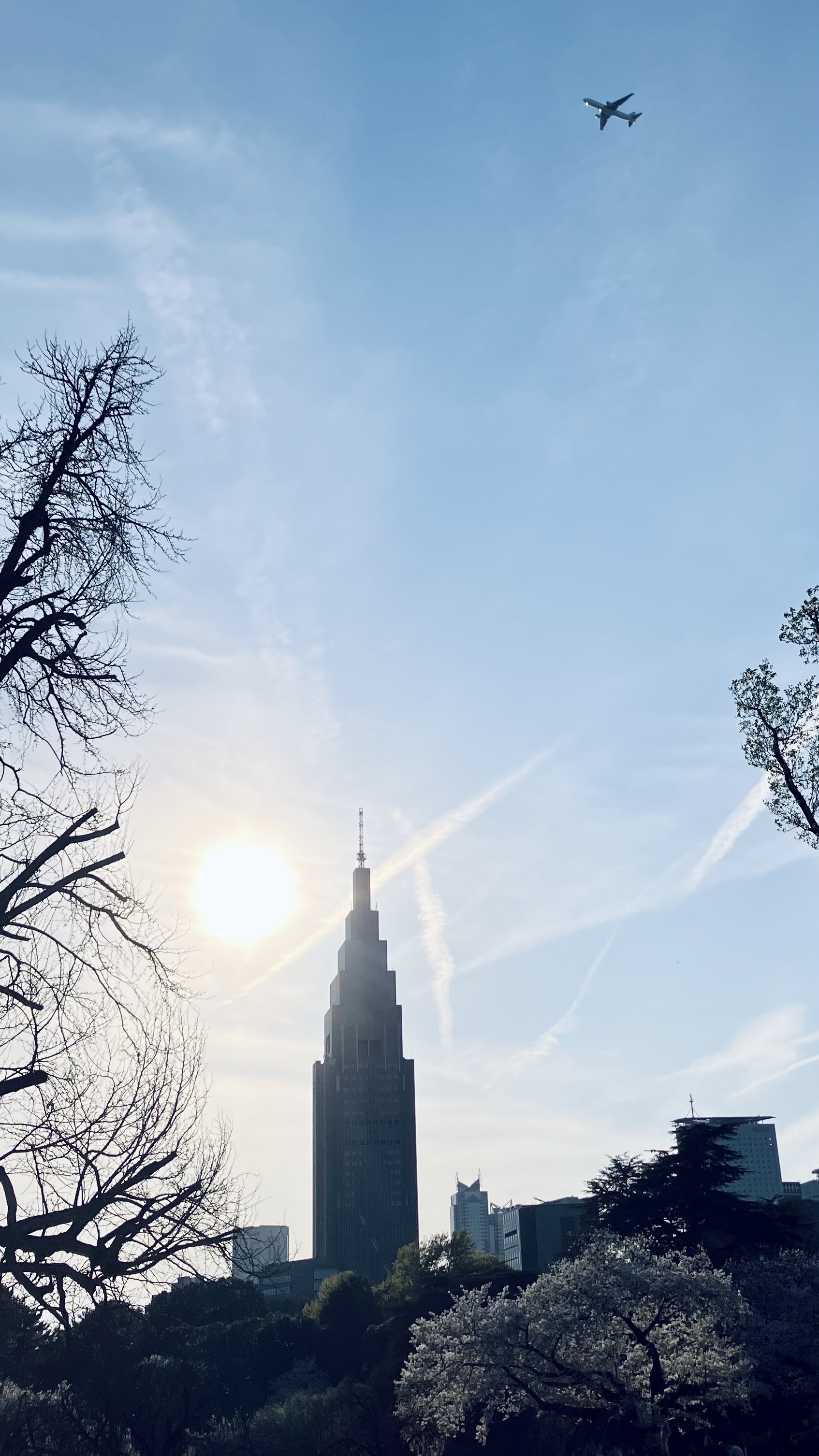 IMG_3458.jpeg