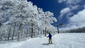 IMG_7385.jpeg