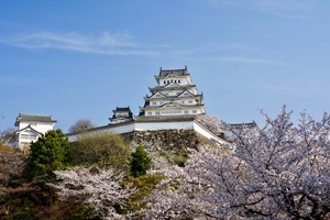 IMG_3335.jpeg