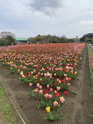 IMG_3303.jpeg