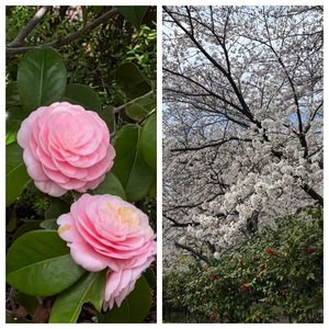 IMG_5933.jpeg
