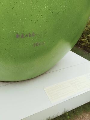 IMG20250529114041.jpg