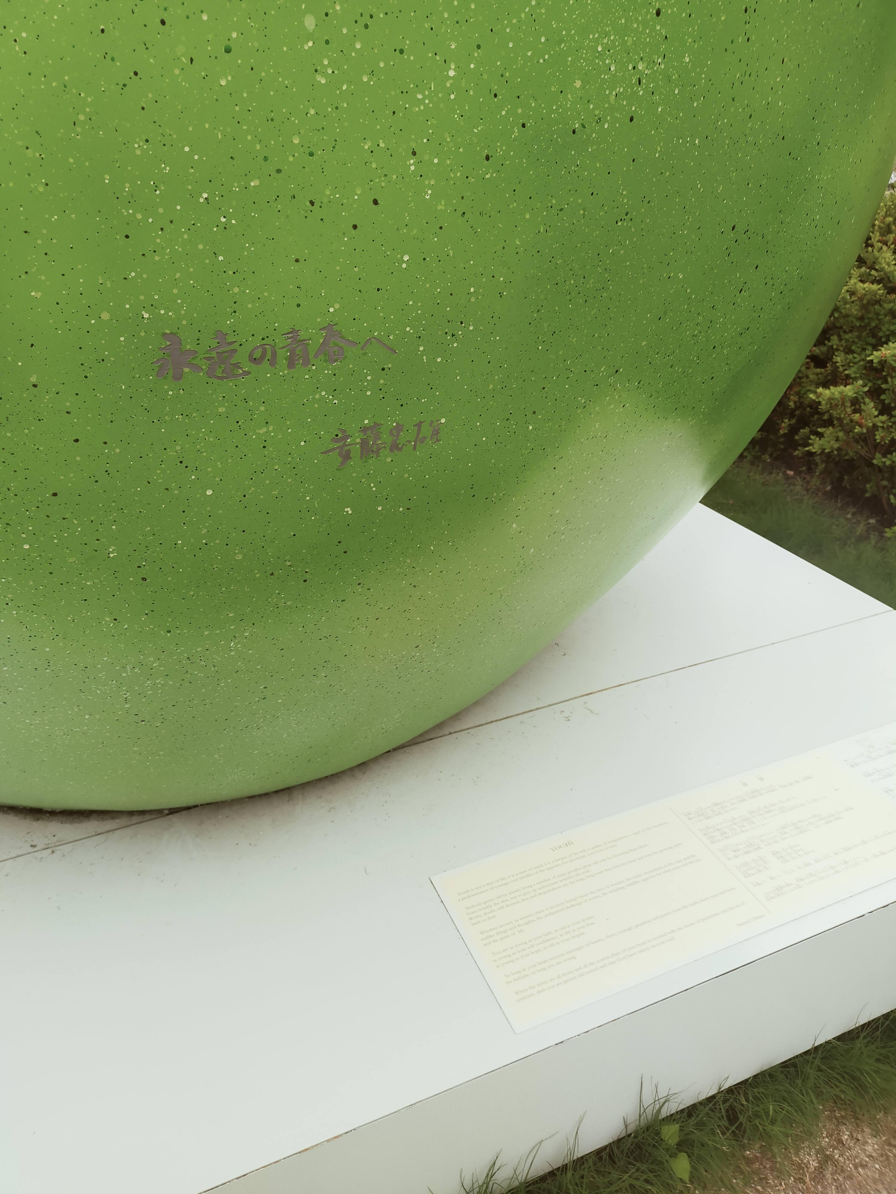 IMG20250529114041.jpg