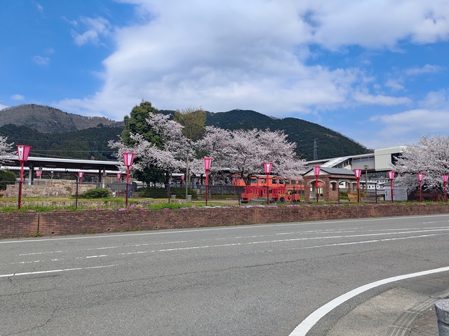P_20260402_134444.jpg