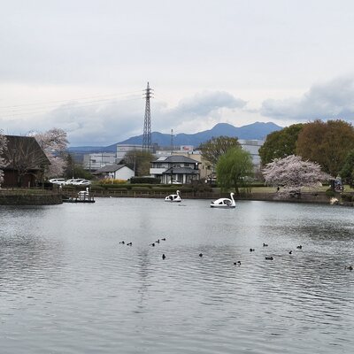 IMG_20260405_123116679_HDR.jpg